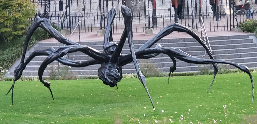 Amsterdam Spider